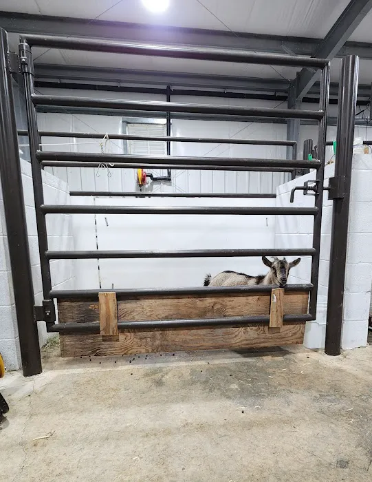 Livestock Veterinary Services 12