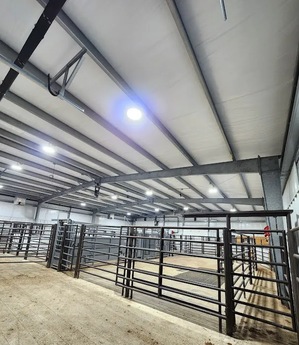 Livestock Veterinary Services 12