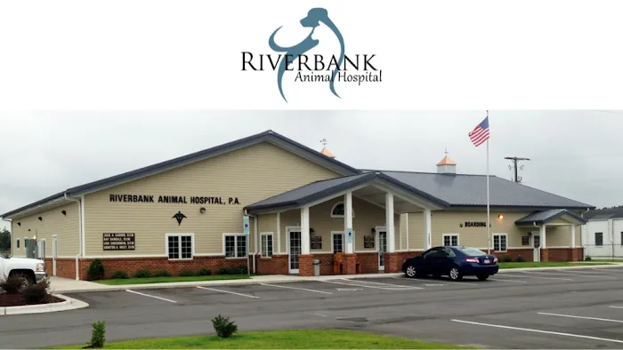 Riverbank Animal Hospital 12