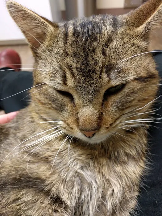 Riverbank Animal Hospital 12
