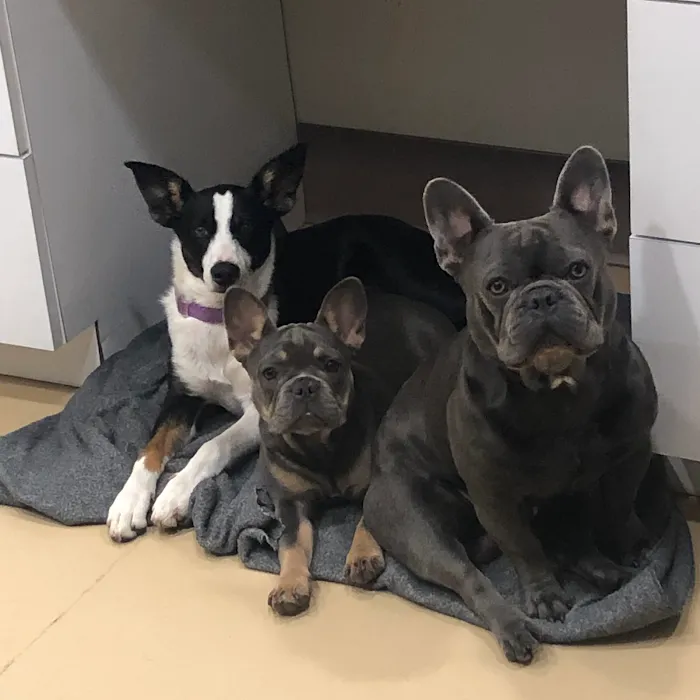 Riverbank Animal Hospital 12