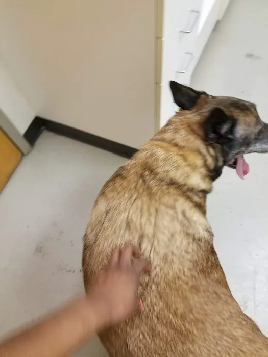 Benvenue Animal Hospital 12