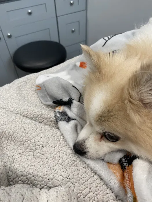 Animal Urgent Care Tri-State 12