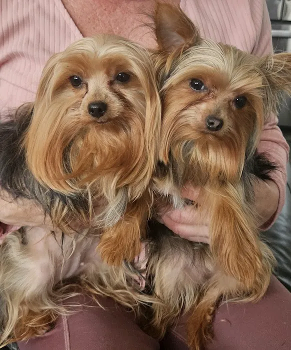 Animal Urgent Care Tri-State 12