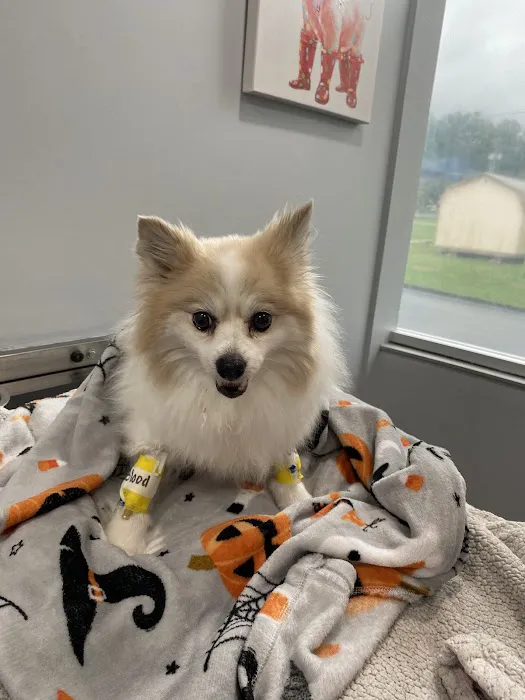 Animal Urgent Care Tri-State 12