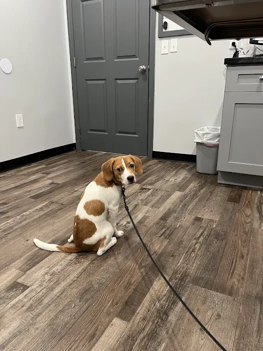 Animal Urgent Care Tri-State 12