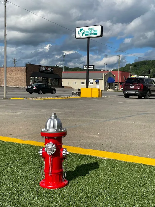 Animal Urgent Care Tri-State 12