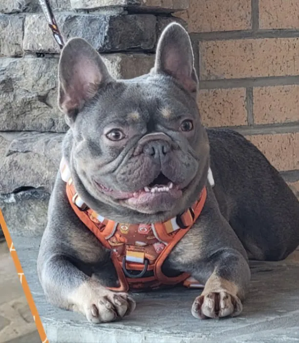 Russell Veterinary Services 12