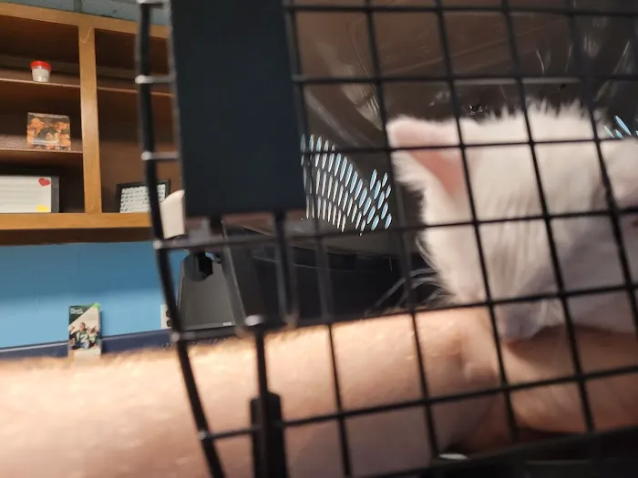 Harrogate Hospital for Animals 12