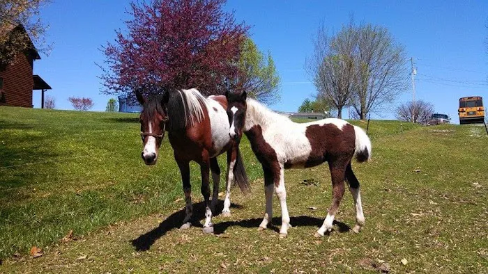 Rowland Veterinary Services Inc 12