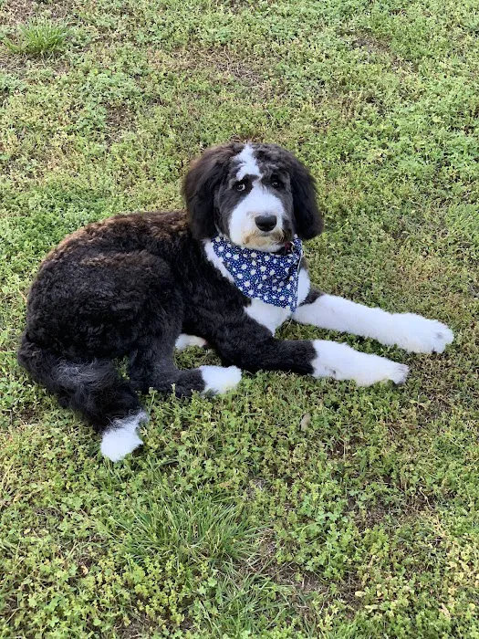 La Follette Veterinary Services 12