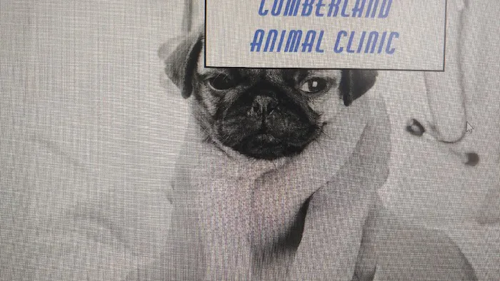 Cumberland Animal Clinic 12