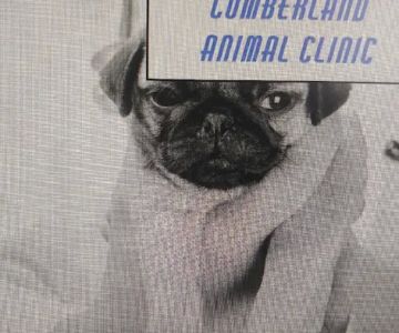 Cumberland Animal Clinic