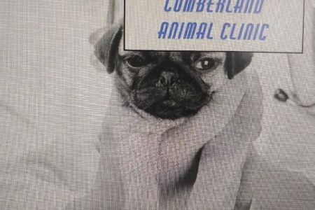 Cumberland Animal Clinic