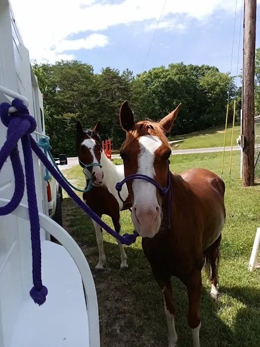 Cumberland Animal Clinic 12