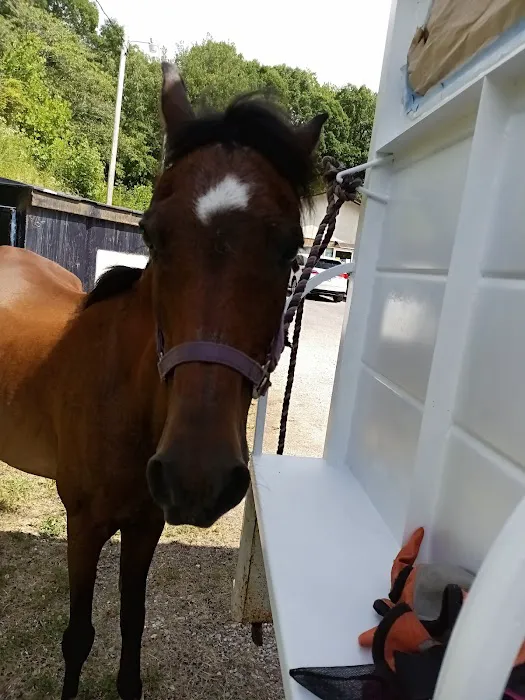 Cumberland Animal Clinic 12