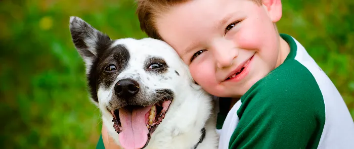 Brookview Animal Health Center 10