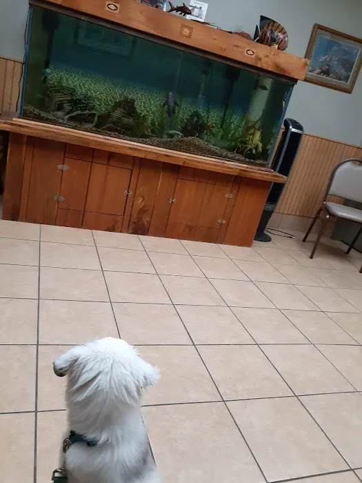 Brookview Animal Health Center 3