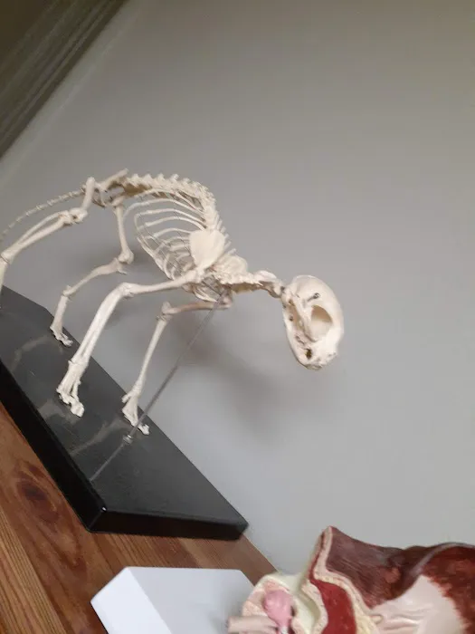 Brookview Animal Health Center 1