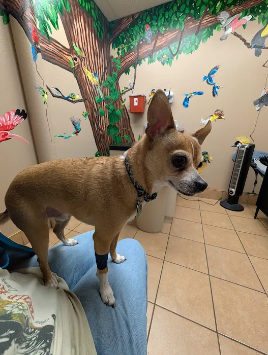 Brookview Animal Health Center 8