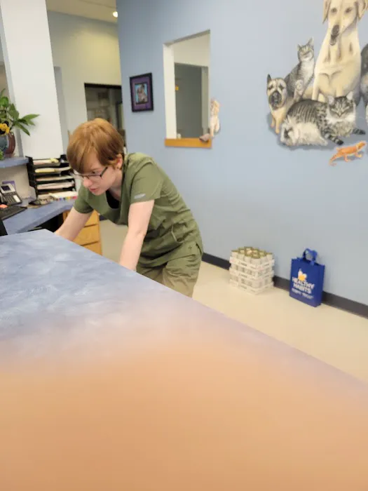 Animal Medical Hospital 5