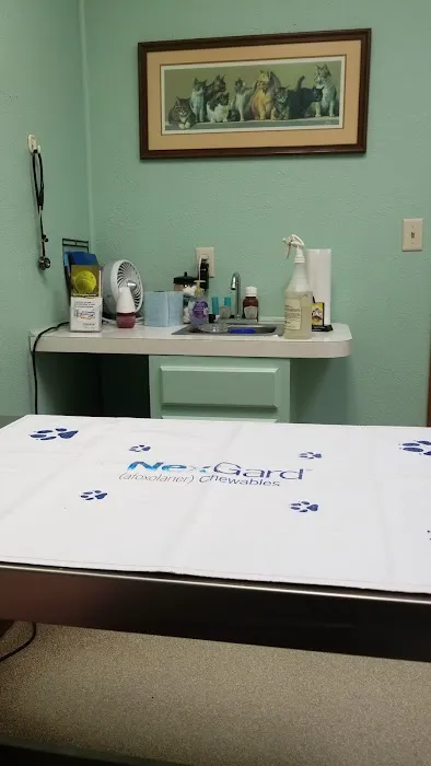Pioneer Animal Hospital 1