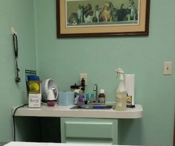Pioneer Animal Hospital