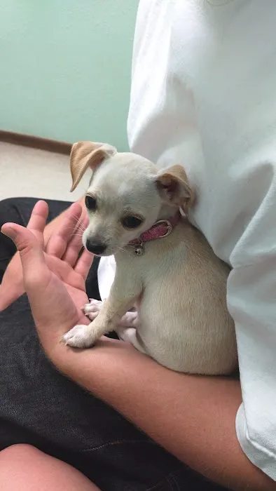 Pioneer Animal Hospital 2