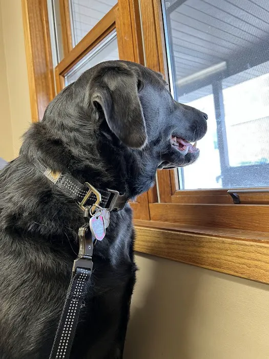 Eldora Veterinary Care 8