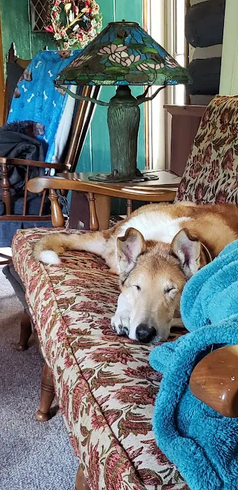 Eldora Veterinary Care 6