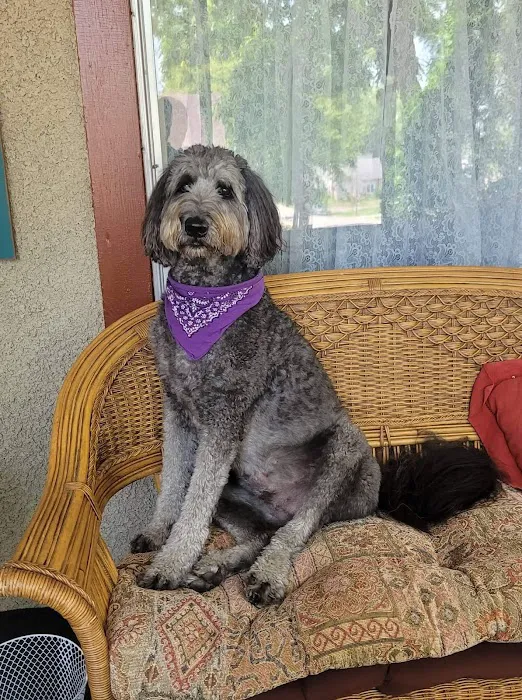 Eldora Veterinary Care 9