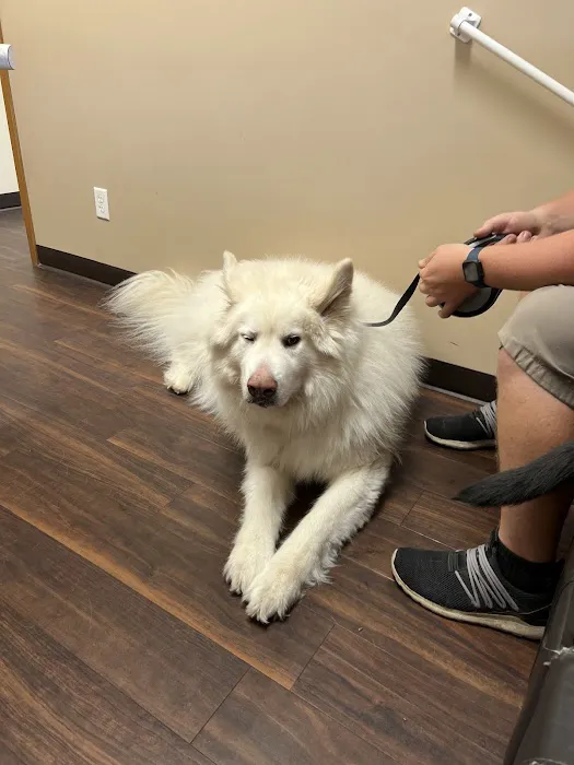 Eldora Veterinary Care 5