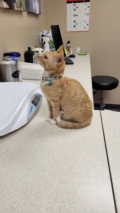 Eldora Veterinary Care 2