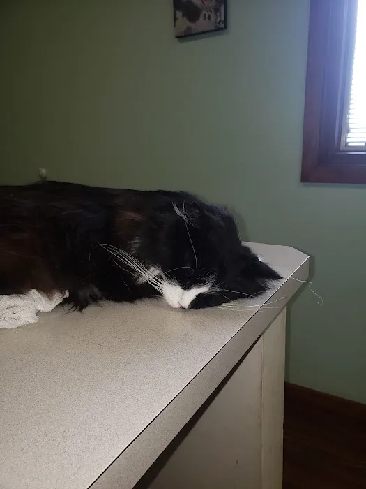 Hampton Veterinary Center 2