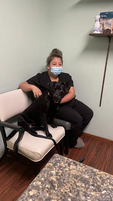 Hampton Veterinary Center 1