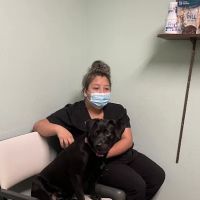 Hampton Veterinary Center ico