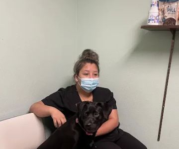 Hampton Veterinary Center