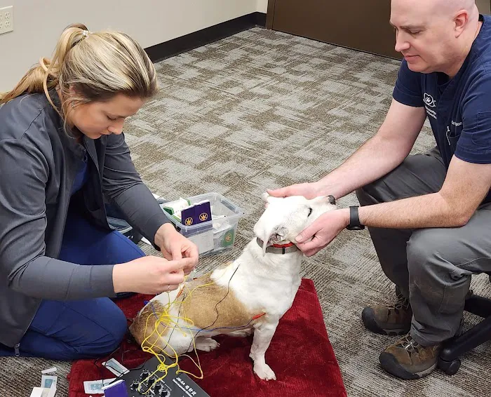 The Hometown Veterinarian 8