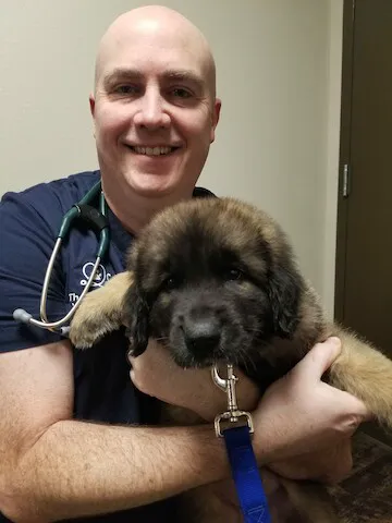 The Hometown Veterinarian 2