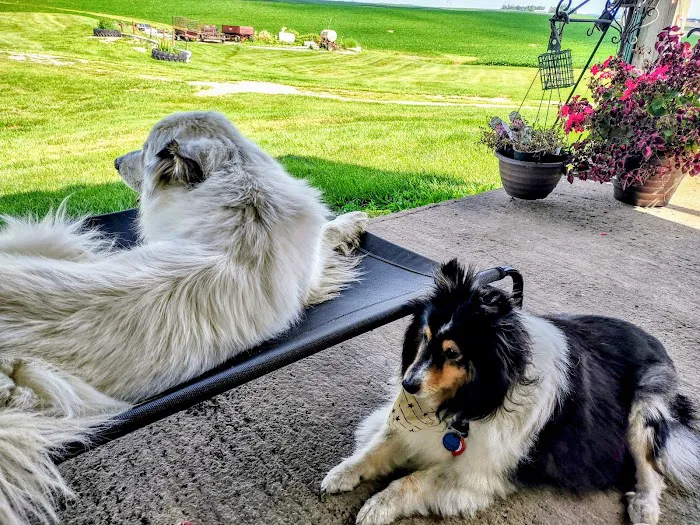 Grinnell Veterinary Clinic, LLP 10