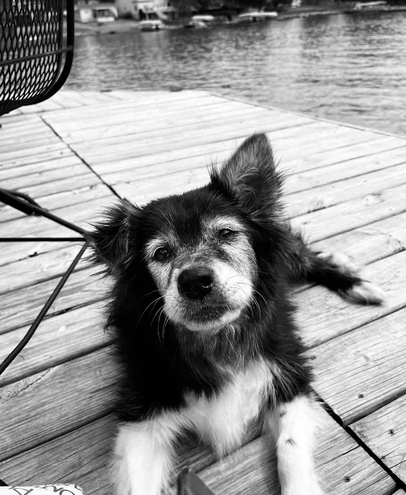 Grinnell Veterinary Clinic, LLP 9