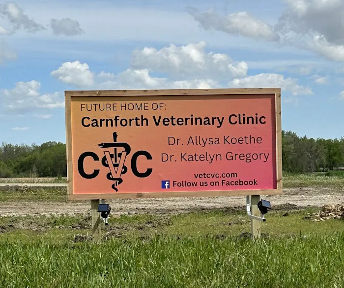 Carnforth Veterinary Clinic 12