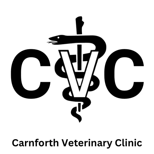 Carnforth Veterinary Clinic 12