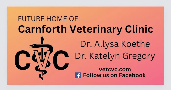 Carnforth Veterinary Clinic 12