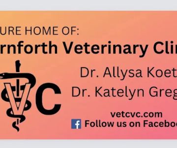 Carnforth Veterinary Clinic