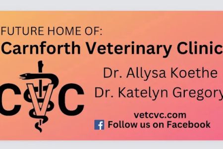 Carnforth Veterinary Clinic