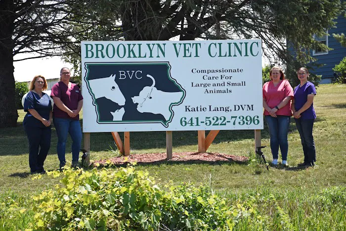 Brooklyn Vet Clinic - Dr. Katie Lang 12