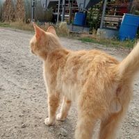 Farm & Family Veterinary ico