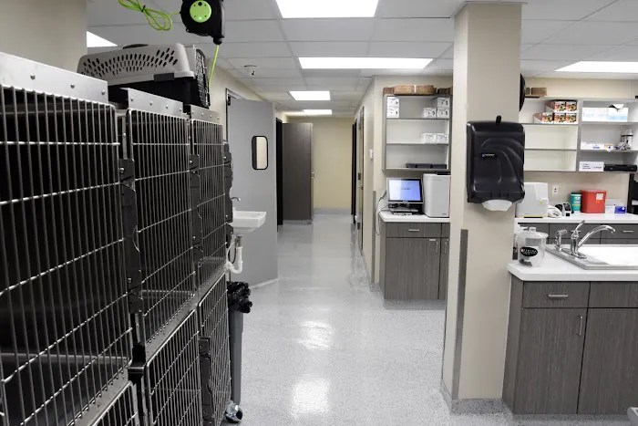 Veterinary Medical Center 12