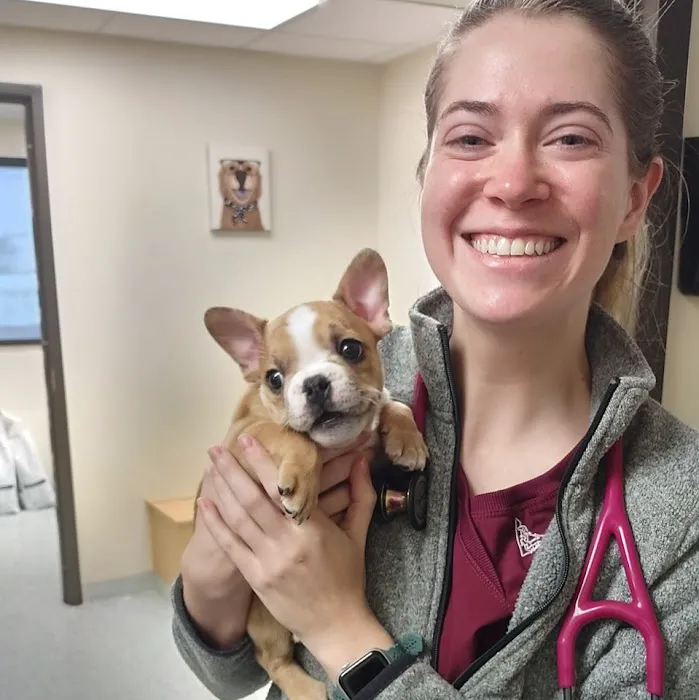 Veterinary Medical Center 12